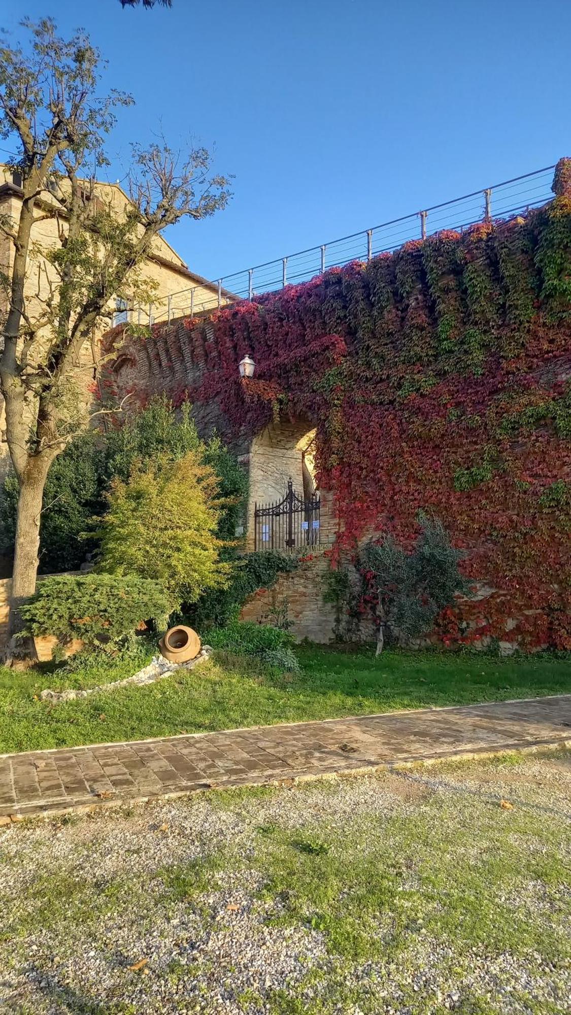 Apartamento Novecento Bertinoro Exterior foto